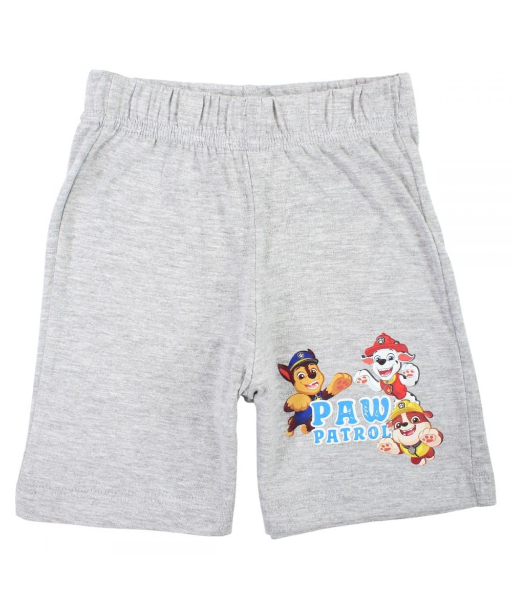 Ensemble Pat'Patrouille tee-shirt et short - gris