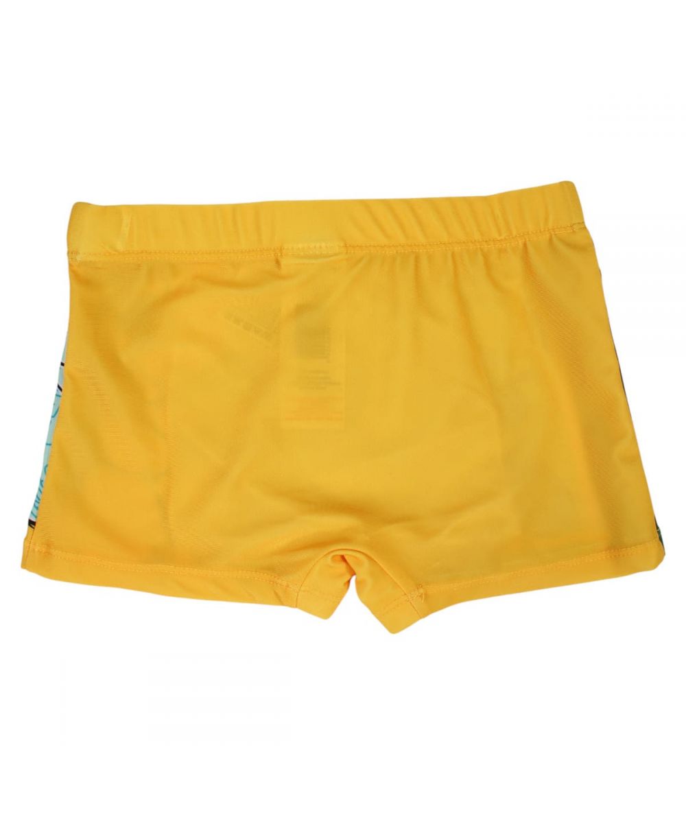 Boxer de bain Le Roi Lion - vert et orange